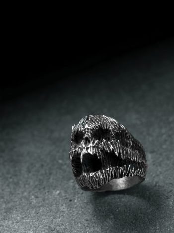 Intenebris x Stanislav Krawczyk 